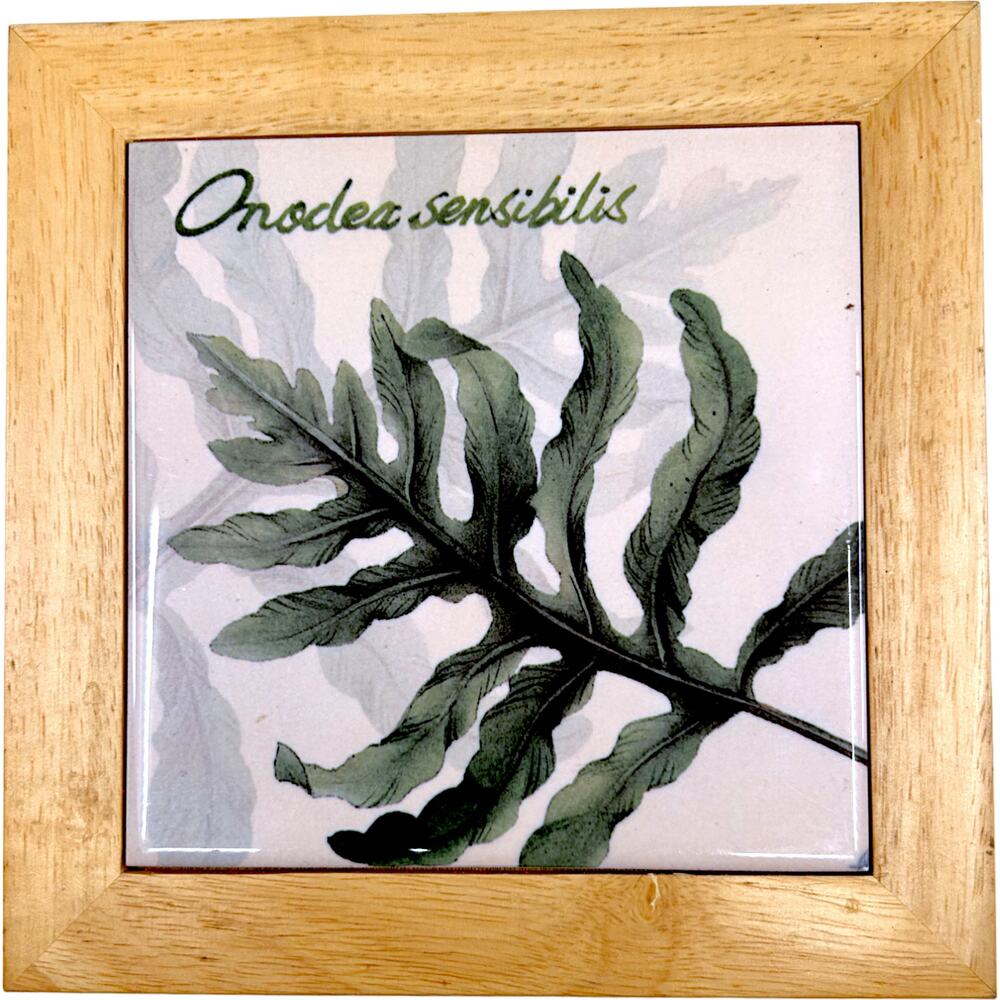 Onoclea Sensibilis aka Bead Fern 6"x6" Decorative Hanging Tile & Wooden Frame